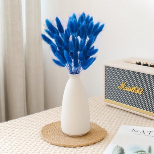 60PCS Rabbit Tail Grass Dried Flowers Dried Natural Floral Arrangement Bunch Decoration Dried Grass,Eternal Flower Dried Grass for Home,Wedding,Party,Flower Bouquet,Photo Props Decor (Blue)