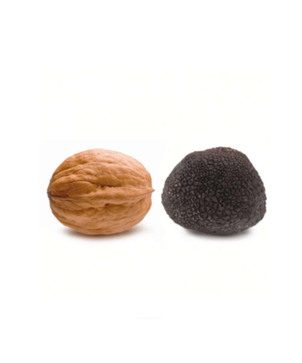 Trufa Negra Melanosporum M - (30gr) - 30gr