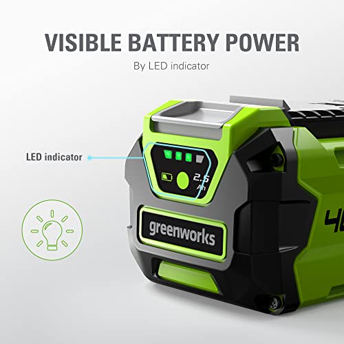 Image of Greenworks 40V 2.5Ah USB Lithium-Ion Battery (Genuine Greenworks Battery / 75+ Compatible Tools)