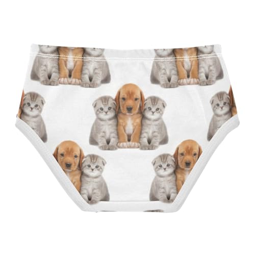 Cute Dog Cat White Toddler Underwear Custom 2t Cotton Panties Little Girl Stylish Undies Kids Briefs2