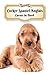 2020 Cocker Spaniel Anglais Carnet de Bord: Chiot ou Chien | 139 Pages | 12 Mois | Format A5 | Agenda | Journalier | Planificateur | Semainier Simple | Calendrier | Organizer