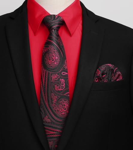 Image of HISDERN Mens Dress Shirt with Tie Pocket Square Set Classic Button Down Shirt Matching Tie Long Sleeve Shirts