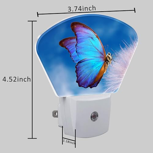 Image of Beautiful Blue Butterfly Night Light, Dandelion Nightlight Plug into Wall with Dusk to Dawn Sensor for Kid Girls Boys Women Men Bedroom, Hallway, Kitchen, Bathroom, Stairs Decor
