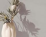 uni hildesheim workshop leichte sprache Einfach zu verarbeiten Dank folgendem Rapport