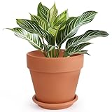 INGOFIN Terracotta Pot with Saucer - 10 Inch Ceramic Clay Pot for Plants with...