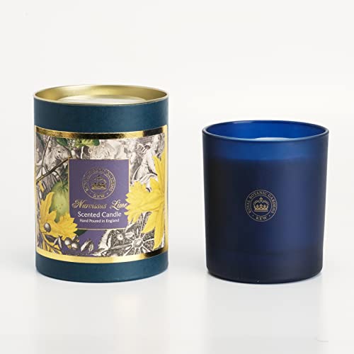 Royal Botanic Gardens Kew Aromatics Range Candle - Narcissus Lime