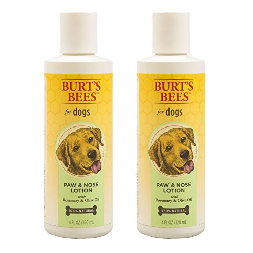 Burt's Bees for Dogs Natural Paw & Nose Lotion with Rosemary & Olive Oil | Soothing Lotion for All Dogs | Cruelty Free, Sulfate & Paraben Free, pH Balanced for Dogs - Made in USA, 4oz- 2 Pack