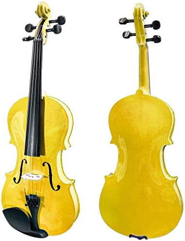 Paititi, 4-String Violin (PTTVN202-4/4-GD)