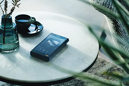 Image of Sony NW-WM1AM2 Hi-Res 128GB Walkman Digital MP3 Music Player