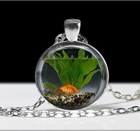 goldfish bowl amazon