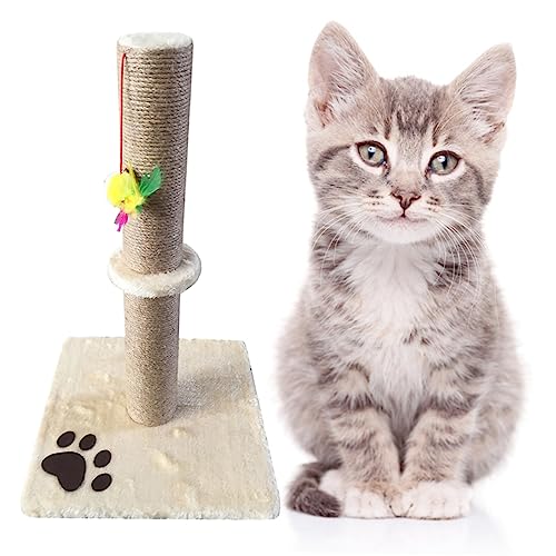 Rascadores Gatos Altos Marca Toddmomy