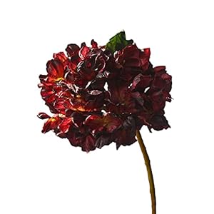 ODEROL Rode Faux Vintage Zijde Volledige Hortensia Bloemen Hoofd met Stam, 6 STKS Kunstmatige Hortensia Bloemen, Nep Hortensia Bloemen voor Boeketten DIY Bruiloft Woondecoratie [Rood-6 Stk],