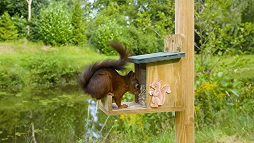 dobar® 22219e Eichhörnchenfutterstation - Eichhörnchen Futterhaus Massivholz - Futterbox zum Eichhörnchen füttern - Futterstelle zum Eichhörnchen füttern Nüsse/Kerne/Früchte - 16 x 23 x 22 cm - Grün