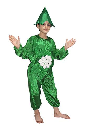 Image of Kaku Fancy Dresses Fruit and Vegetable Costume Paper Cutout with Cap For Kids | Healthy Food Costume For Boys & Girls (Tracksuit Not Included)