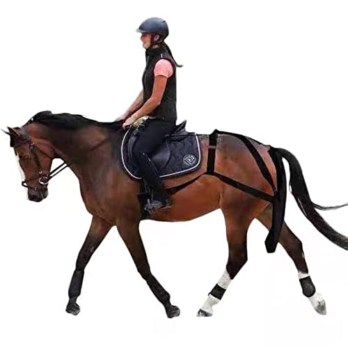 Bolsa para estiércol de caballo: dile adiós a las multas en desfiles con este colector impermeable 2