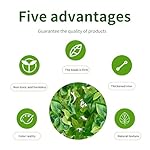 Fake Hanging Plants Vines(2pcs) for Room Decor, Artificial Ivy Greenery Garlands for Home Bedroom Living Aesthetic Kitchen Office Wall Patio Bookshelf,Indoor,Outdoor Farmhouse Decorations(No Basket) - Image 5