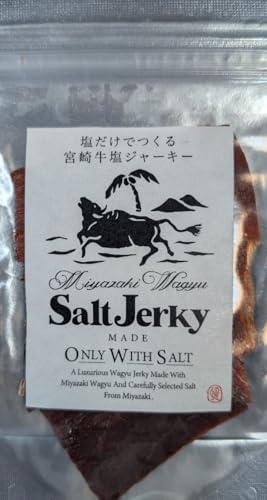 宮崎牛塩ジャーキー 20g×10P ビーフジャーキー 無添加 塩のみ使用