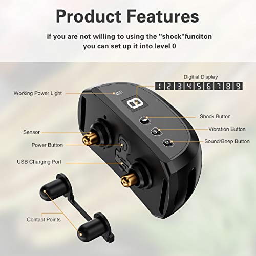 CLEEB-BOUG Dog Bark Collar, No Bark Training Rechargeable Anti Barking Collar with 9 Adjustable Sensitivity and… - Image 2