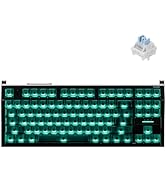 eisuke Amazon.com: IQUNIX EZ80 RS Magnetic Switch Hall Effect Gaming