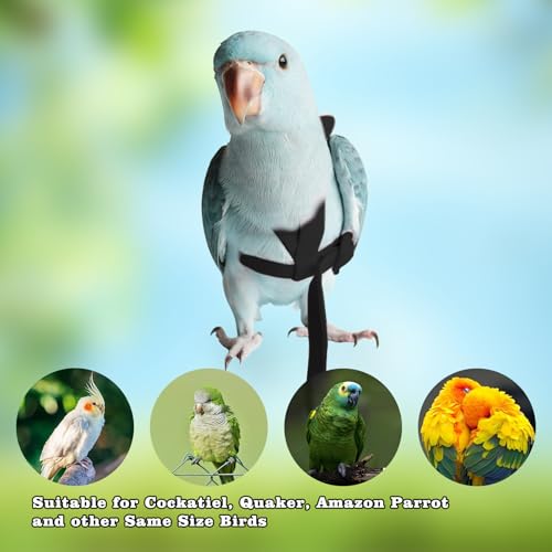 Image of Adjustable Bird Leashes and Harnesses, Bird Nylon Harness with Cute Wing for Parrots, Pet Bird Accessories, Bird Leash for Hang Out, Suitable for Cockatiel, Quaker, Amazon Parrot and Same Size Birds