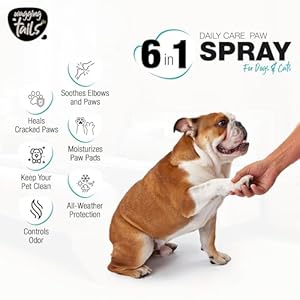   Wagging-Tails-6-in-1-Paw-Spray-338-fl-oz-Pack-of-2-for-Dogs-and-Cats-for-Dirty-Dry-chapped-and-Muddy-Paws