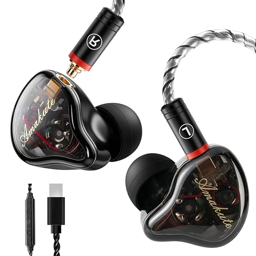 Image of DEMAKE in Ear Monitor with Detachable Silver-Plated Type-C Cable | HiFi IEM, Tesla Dual Dynamic Driver Wired Earbuds, Noise-Isolating In-Ear Headphones for Singers & Audiophiles(Black & Clear)