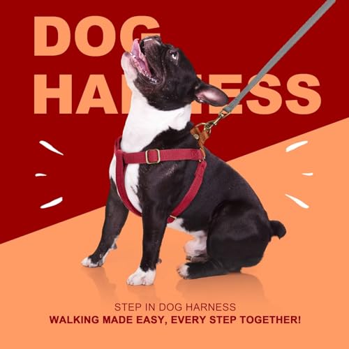 Image of Didog Step in Dog Harnes for Small Dogs, Red, S, Chest 14-22 inch