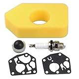 Hipa 698369 Air Filter + 495770 795083 Gasket Diaphragm 694394 494408 Primer Bulb for Briggs & Stratton 3.5-4.5 HP Classic Sprint Quattro Engine