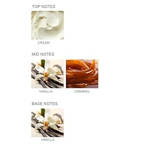 UCC Reed Diffuser Set, 3.38 oz Classic Cream Vanilla Premium Scented Diffuser with Flower Sticks Home Fragrance Reed Diffuser for Bathroom Shelf Decor UCC Reed Diffuser Set 338 oz Classic Cream Vanilla Premium Scented Diffuser with Flower Sticks Home Fragrance Reed Diffuser for Bathroom Shelf Decor