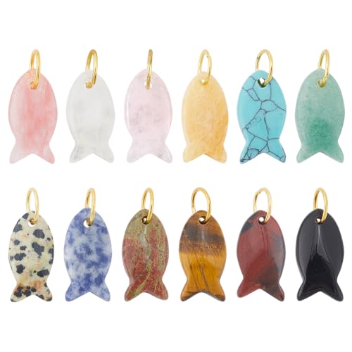DELORIGIN 12Pcs Natural Gemstone Fish Charms Colorful Fish Pendants with Brass Jump Rings Fishes Spacer Beads for Jewelry Making Bracelet Necklace DIY Crafts Handmade Gift