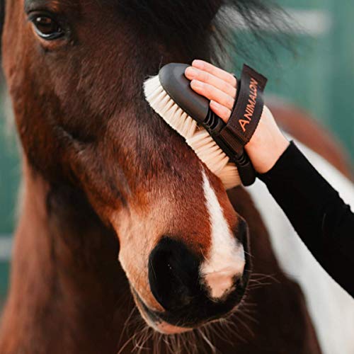 Animalon CareFlex Glanzbürste | Flexible & hochwertige Pferde-Schmuse-Bürste mit Ziegenhaar | weiche Bürste für Pferde | Kopfbürste | Glanzbürste-Pferd mit Klettverschluss | Putzzeug | Kardätsche