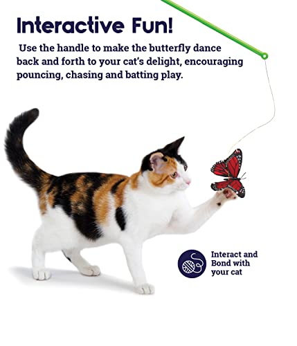 Petstages Butterfly Chase Cat Teaser Wand #TOP1