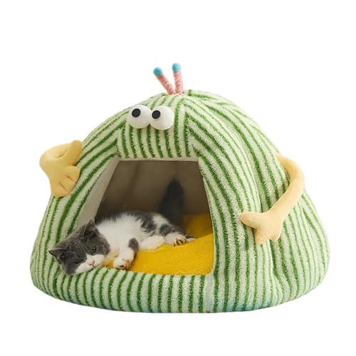 BtcFuA~̒gA͂tAybgegAnEXA^AefBnEXALnEXAI[V[YO\ (M: 40×32cm (3҈ȉ̃ybg, )