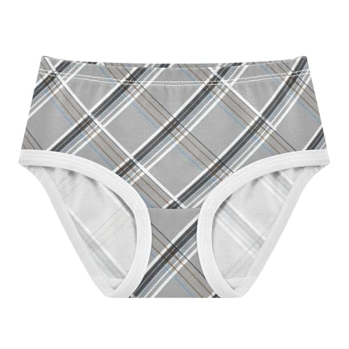 Bright Girls Underwear Toddler 2t Cotton Panties Little Girl Plaid Grey Kids Briefs Undies