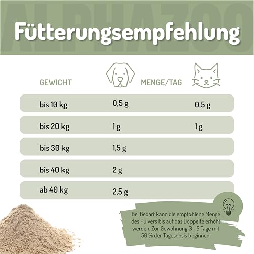 alphazoo Grünlippmuschel Hund, Katze & Meerschweinchen UVM. I Neuseeländisches Grünlippmuschel Pulver 100 g I Natürliches Gelenkpulver in Vollfett-Qualität
