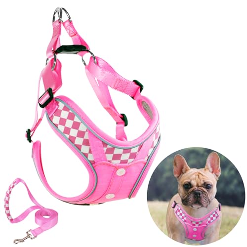 Fashion Lovely Dog Harness with Leash Set, No Pull Adjustable Step in Collars Frenchie Harness Vest for Medium Dogs Training and Running (M Pink)