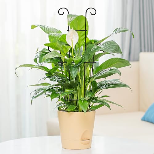 Image of Plant Trellis for Potted Plants 2p, Larger 23in Garden Trellis for Climbing Plants Indoor Outdoor, Rustproof House Plant Support Stakes for Pothos Hoya Ivy Flower