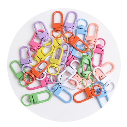 30Pcs Lobster Claw Clasps,Colorful Lanyard Swivel Snap Hooks Heavy Duty Metal Lanyard Clips,30 Colors Keychain Making Kit for Keyrings,Key Chains,Jewelry DIY,Crafts,Keyring Rings & Keychain Clips
