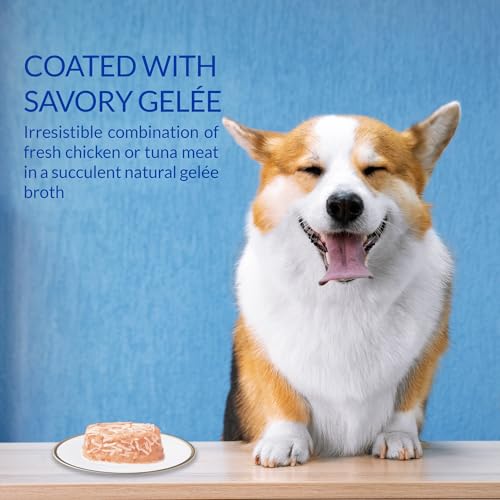 INABA Twins for Dogs, Shredded Chicken & Broth Gelée Side Dish/Topper Cups with Green Tea Extract, 1.23 Ounces per Serving, 16 Servings, Chicken with Vegetables Recipe - image 3