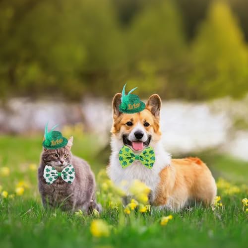 Sombrero de disfraz con trébol verde para mascota pequeño miniatura 2