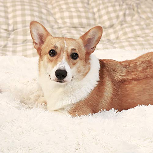 HACHIKITTY Faux Fur Dog Blanket Large, Soft Dog Blanket Large Dogs, Soft Dog Blanket Multiple Use - Image 5