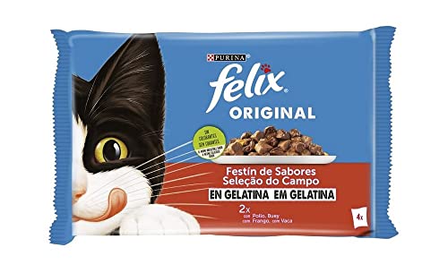 Felix Purina Gelatine Nassfutter für Erwachsene Katzen, Verschiedene Fleischsorten, 4 Beutel à 85 g