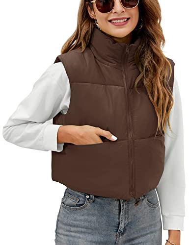Akewei Womens Winter Sleeveless Jacket Coat Basic Crop Vest Stand Collar Waistcoat Zipper Coat Outerwear With Pockets (Brown,Xs) #TOP2