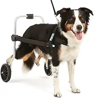 Cadeira de 2 Rodas Para Cachorro Tam G Regulável Pata Traseira Paraplegia Reabilitação Paralisia Idoso Pet Best Soluções