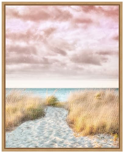 Amanti Art Framed Canvas Wall Art 28x23 Pink and Beige