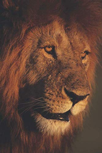 The Full-Time RV Life - A Journal (Living the Full-Time RV Life)