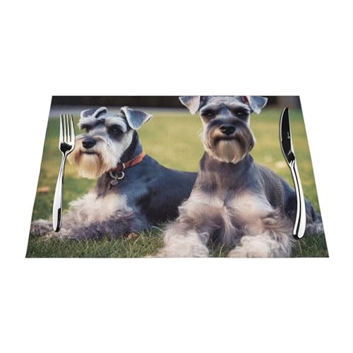 Set de table tissé lavable pour protéger la cuisine des taches