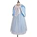 Dressy Daisy Toddler Girls' Princess Costume Fancy Dress Up Halloween Birthday Christmas Party Outfit with Blue Cloak Size 3T