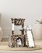 SYANDLVY Leopard Print Cat Tree for Indoor Cats, Small Cat Tower with Scratching Post & Board, Modern Activity House Condo with Cradle, Hanging Ball for Play, Kittens Cave
