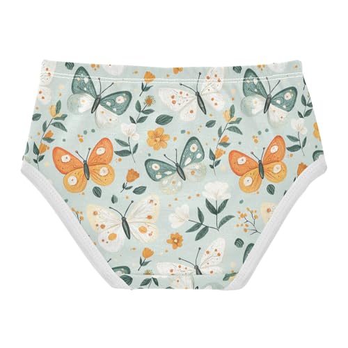 ZZKKO Farmhouse Butterfly Flower Girls Underwear Toddler Panties for Girls Comfort Brief Size 2-8T2